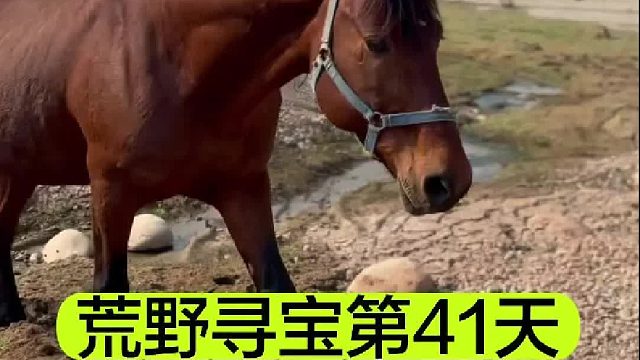 荒野寻宝的第41天 我们找到了一艘房船