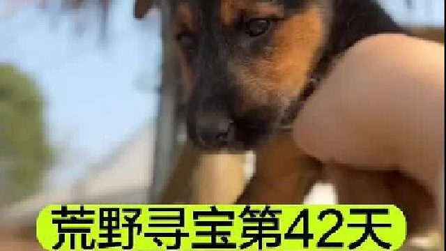 荒野寻宝的第42天 我终于治住了冬天