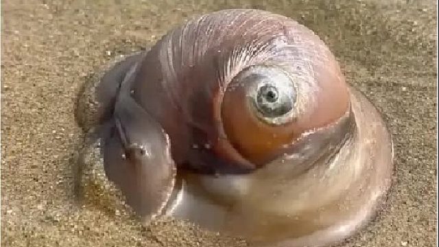 带你去体验渔民的生活