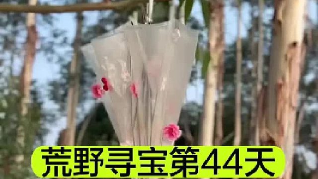 荒野寻宝的第44天