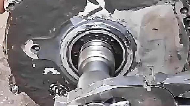 懂行的有不同意见