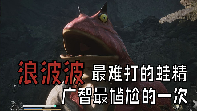 浪波波，最坚硬的青蛙，广智一起来就睡，睡得好香