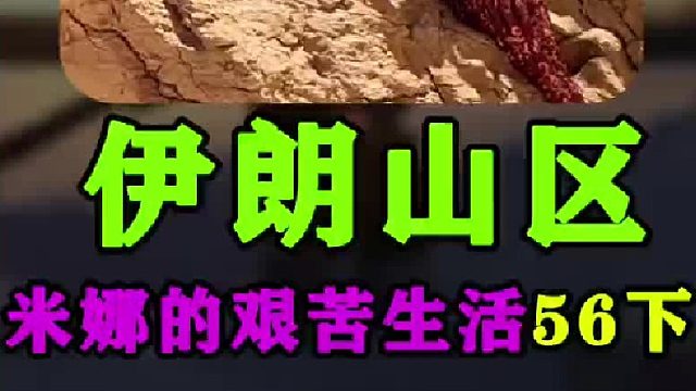 米娜的艰苦生活