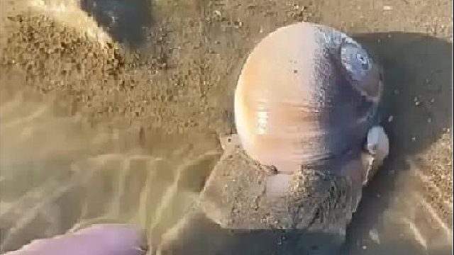 带你去体验渔民的生活