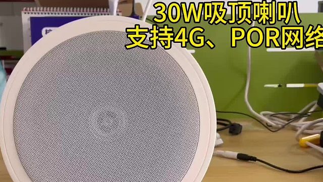 深圳盾王4G广播吸顶天花喇叭POE网络音柱