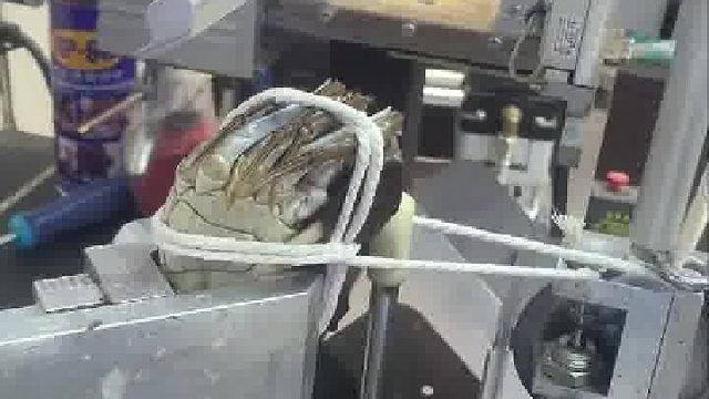 绳子太细了，换粗点重点的