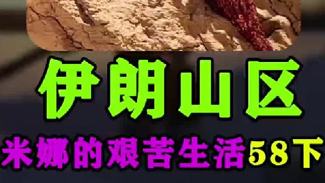 米娜安装好了卫生间的门