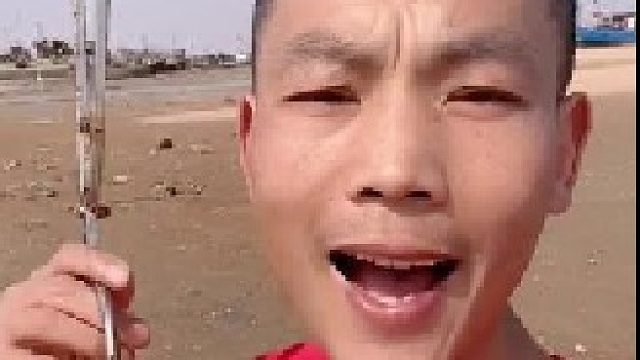 户外赶海抓海鲜