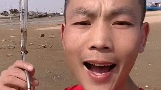 赶海赶海赶海啦