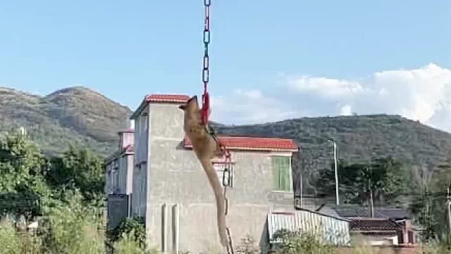 差点又“飞”过头啦！