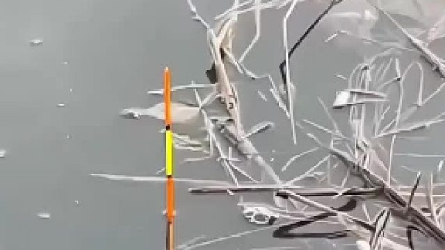 谁知道这是什么鬼？