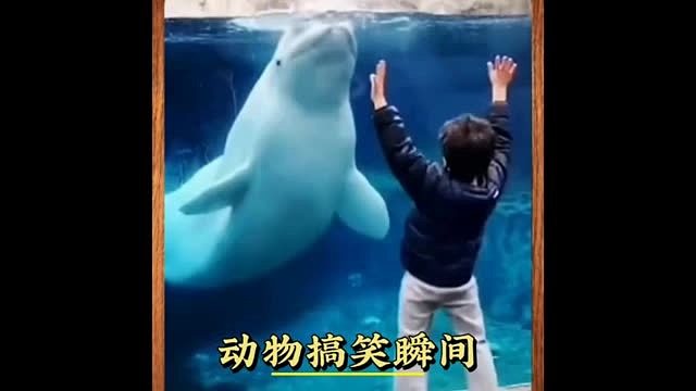 动物园：我能让你们白买门票，这门票花的值