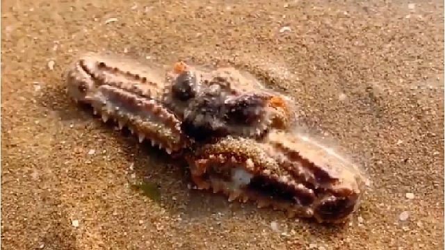 带你去体验渔民的生活