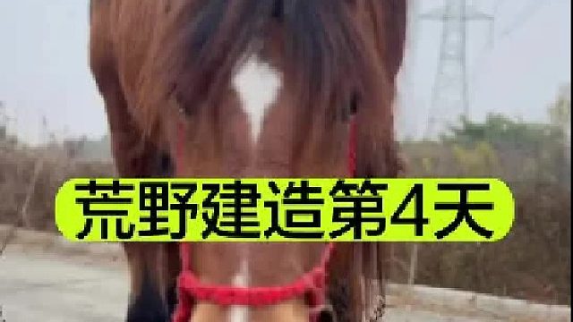 荒野建造的第4天 我们遇到了袭击