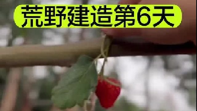 荒野建造的第6天 制做了一棵草莓树