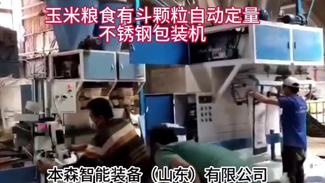 玉米粮食有斗颗粒自动定量不锈钢包装机