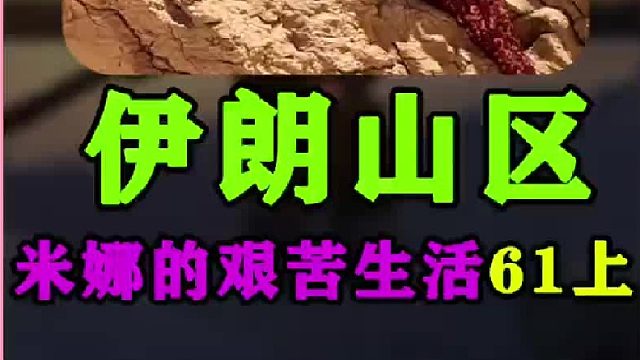 米娜带着孩子们去学习网鱼