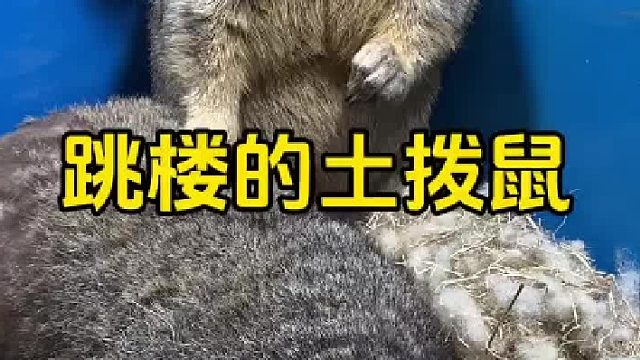 我之前有个朋友。。