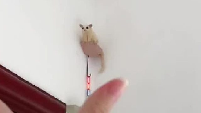 不要过多的烦恼，因为总会有那么几个瞬间，让你忽然觉得，生活温柔而可爱