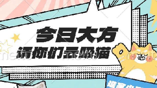 猫咪爱你的10大表现第一期