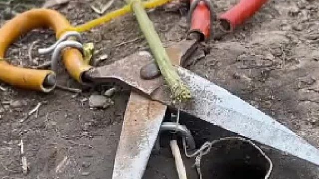 男子设置机关抓蛇，不料千算万算 少算了一步