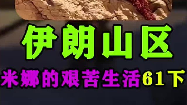 米娜带孩子去城里看病理发吃饭买东西