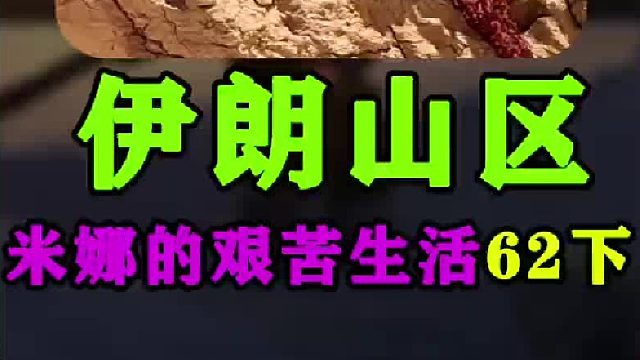 米娜给卫生间门安装好了纤维板