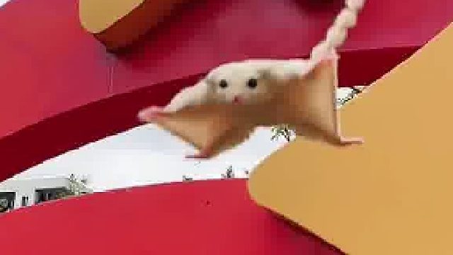 你敢接我就敢跳，你不接我也要跳。没有什么能够阻挡……