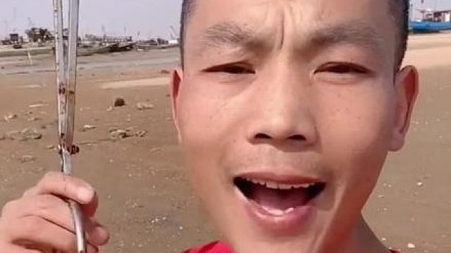 赶海赶海赶海啦