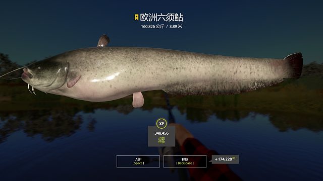 底轻星欧洲六须鲇