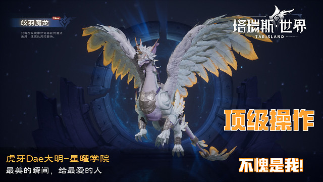 塔瑞斯世界 挑战模式  组队-片段2