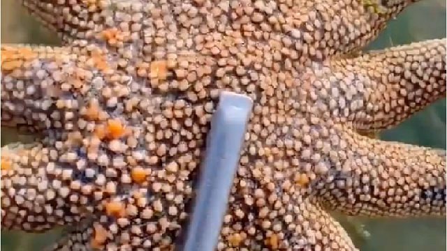 带你去体验渔民的生活