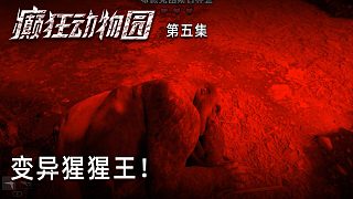 楚河《癲狂動(dòng)物園》實(shí)況第五集：變異猩猩王！并不難打！