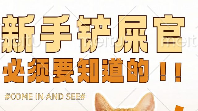 猫咪爱你的10大表现第四期