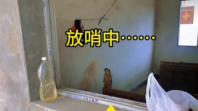 一个放哨，一个拆门。