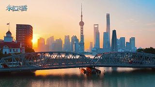 2023APL 全國(guó)錦標(biāo)賽·總決賽宣傳片