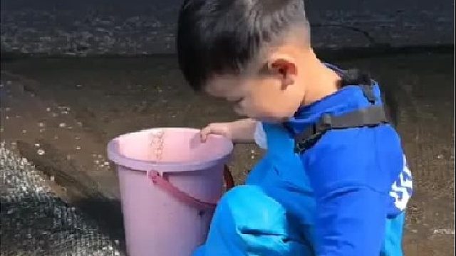 赶海赶海赶海啦