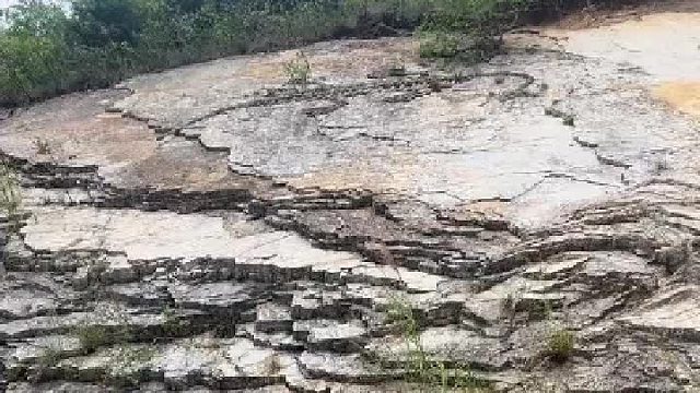 我是不是发现了新大陆。