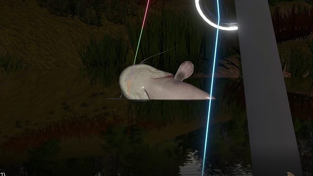 再得底轻星欧洲六须鲇