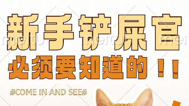 猫咪爱你的10大表现完结篇