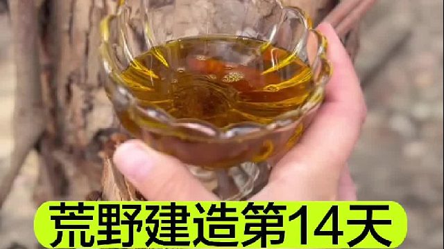 荒野建造的第14天 遇见一个奇怪的人