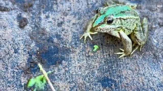 一点点就可以了