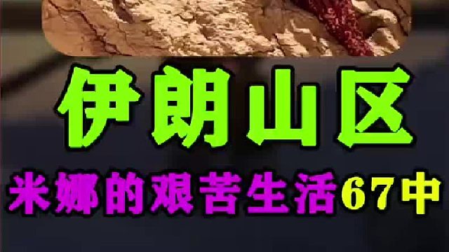 米娜建造洗澡堂和羊圈后续