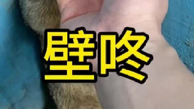 还是胆小鬼懂我啊！