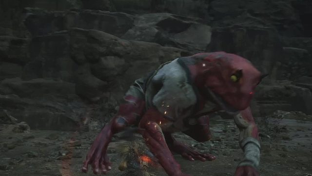 最后一只蛙浪波波