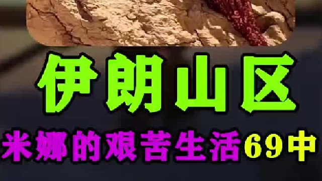 米娜给鸡舍建造了扩展棚