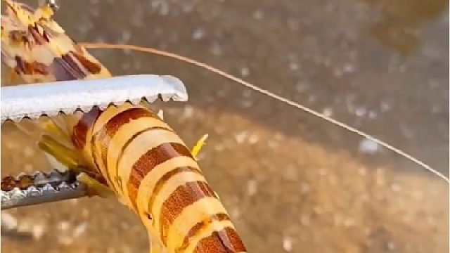 带你去体验渔民的生活