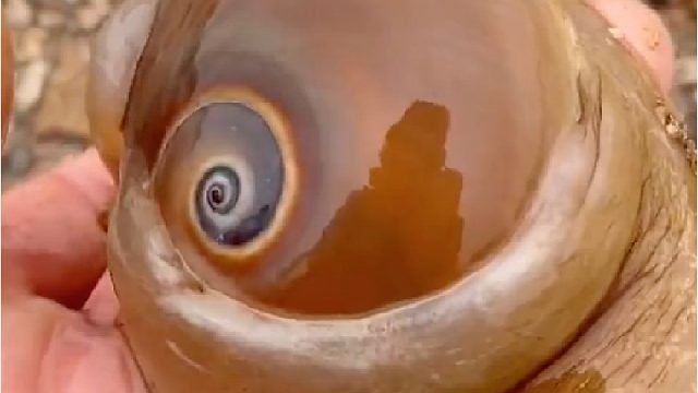 带你去体验渔民的生活