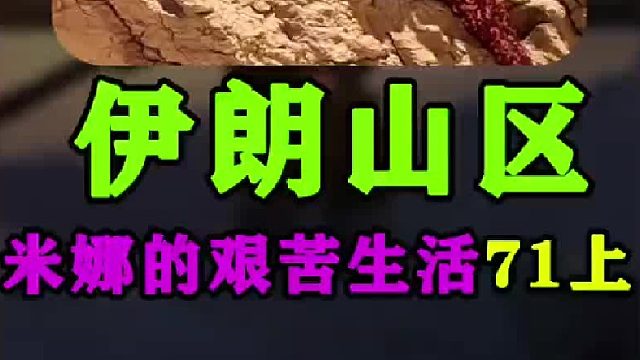 伊朗女人米娜后续 米娜去医院做了B超