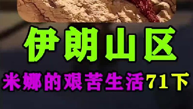 伊朗女人米娜买了缝纫机并做了窗帘